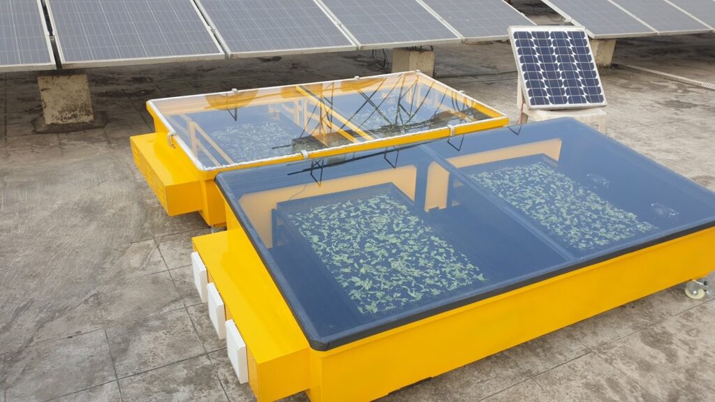 Solar-Powered Dryer Xuberant